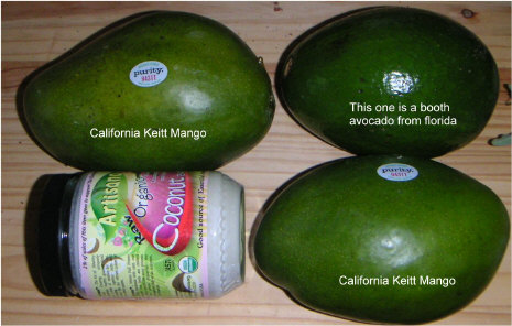 keittmangos.jpg (115671 bytes)