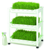 Sproutman's Soil-Free WheatGrass Grower